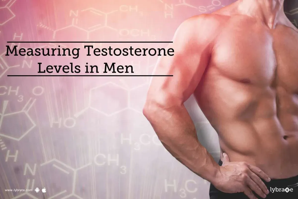 The Importance of Testosterone