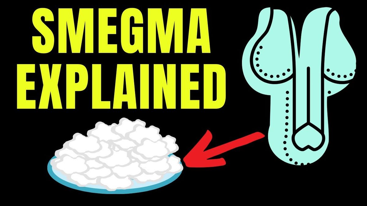 What is Smegma?