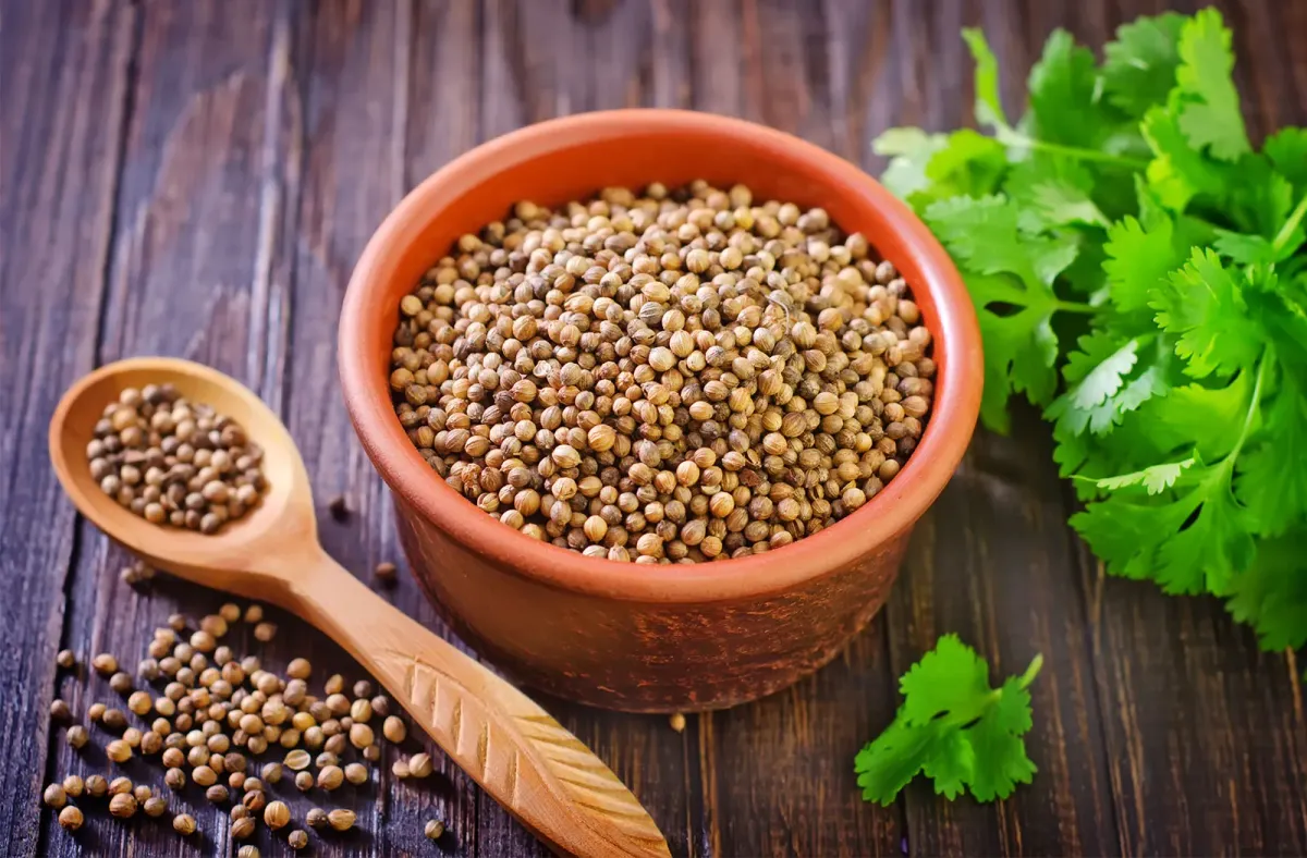 The Nutritional Value and Taste of Coriander