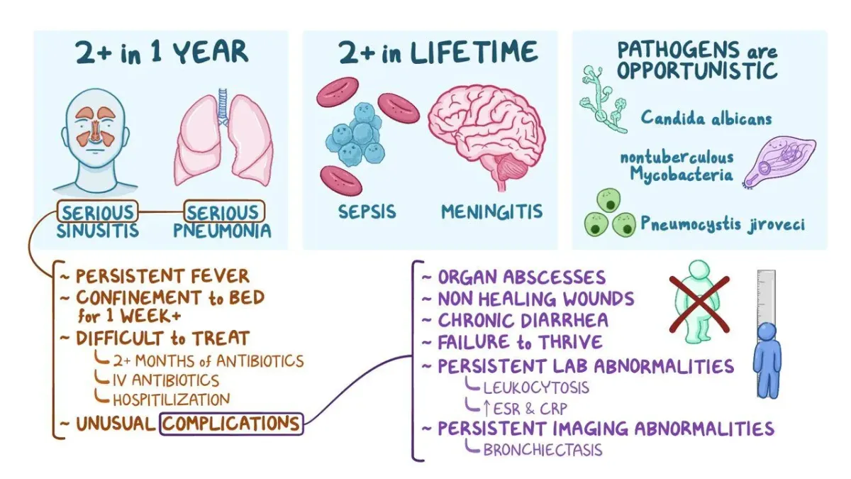 Types of Immune Deficiency