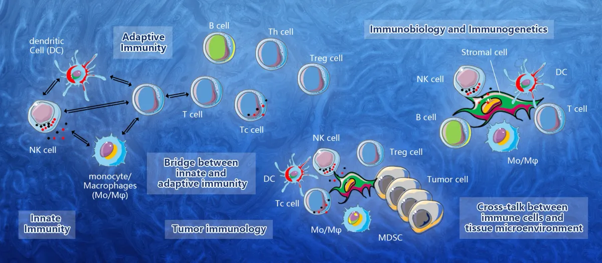 Cellular Immunity