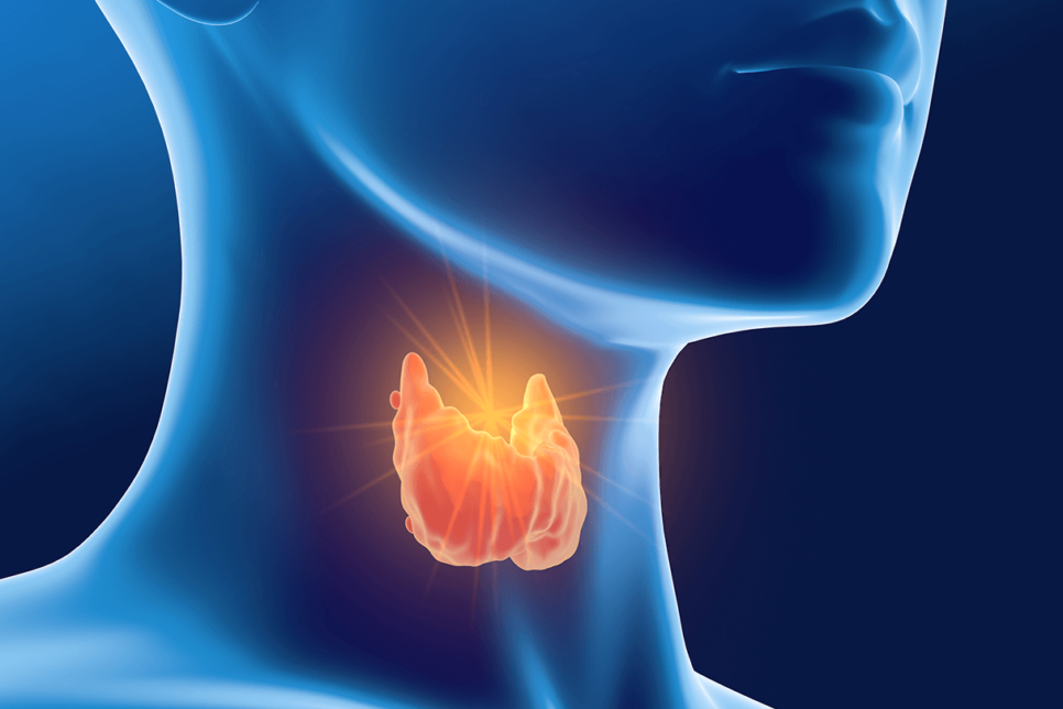 Unraveling the Mystery: The Telltale Signs of Hashimoto's Thyroiditis