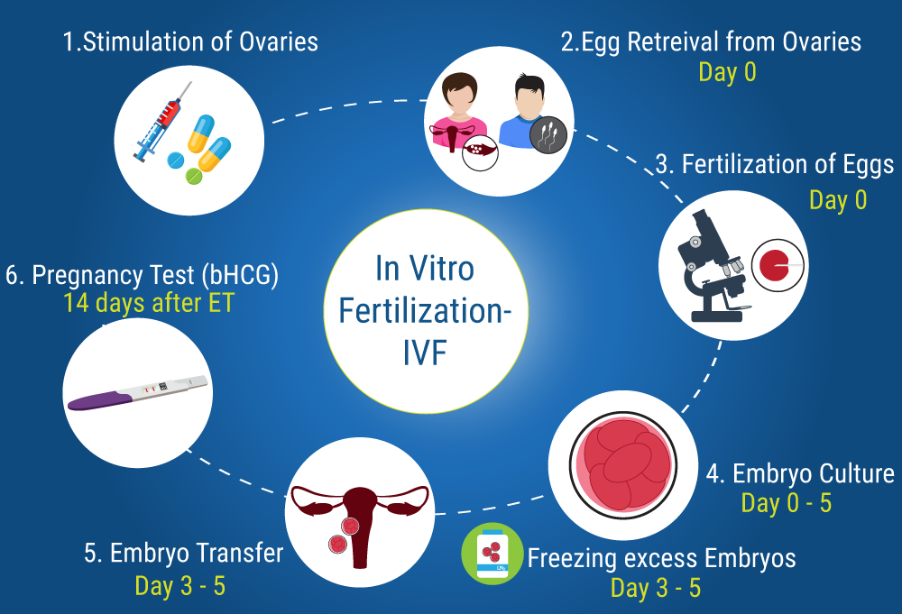 The Cost of IVF
